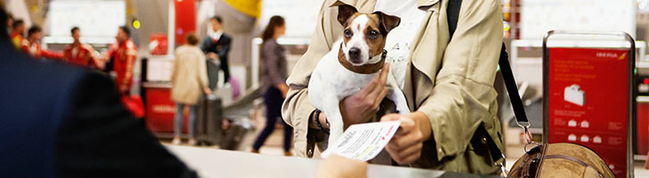 How To Travel On Copa Airlines With Your Pet